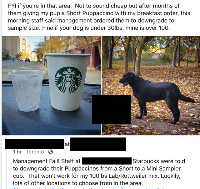 fauna - FYl if you're in that area. Not to sound cheap but after months of them giving my pup a Short Puppaccino with my breakfast order, this morning staff said management ordered them to downgrade to sample size. Fine if your dog is under 30lbs, mine is