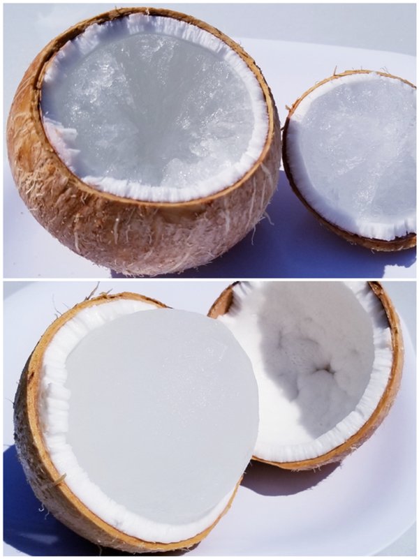 “Coconuts can crack open when they’re in the freezer.”