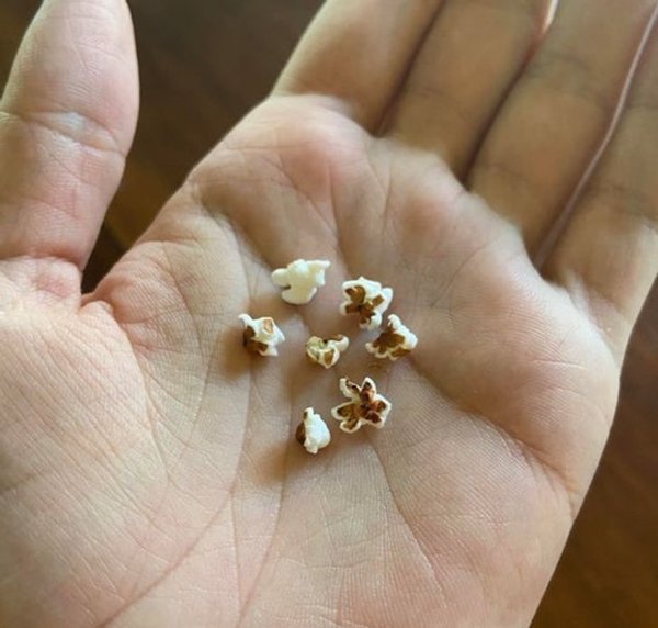 “My mom microwaved some birdseed to disinfect it before putting it in a beanbag, and accidentally made tiny popcorn.”