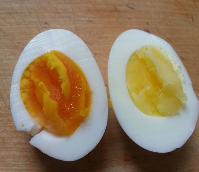 egg yolk - Oc