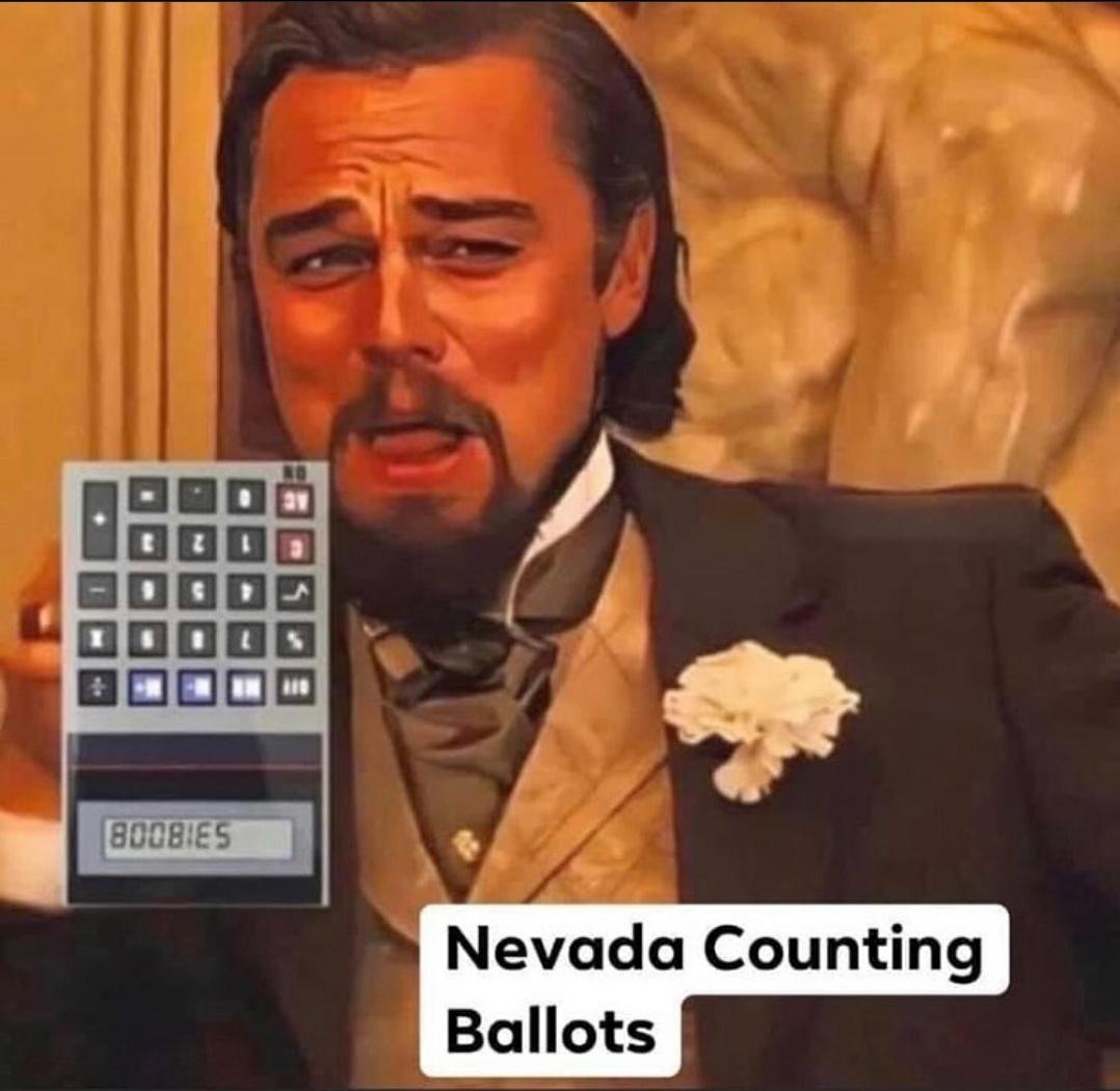 funny memes and pics - No Boobies Nevada Counting Ballots