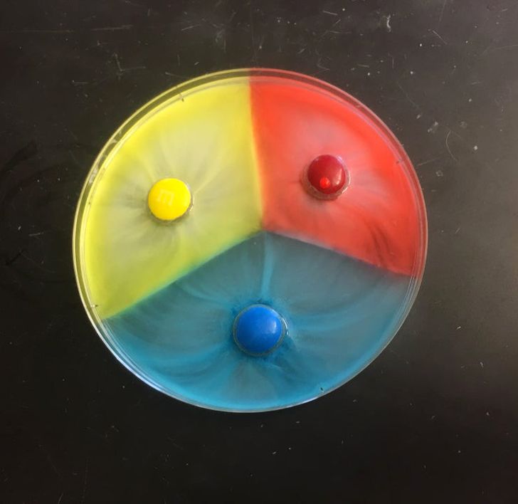 What happens when you put M&Ms in a dish of water — diffusion force barriers!