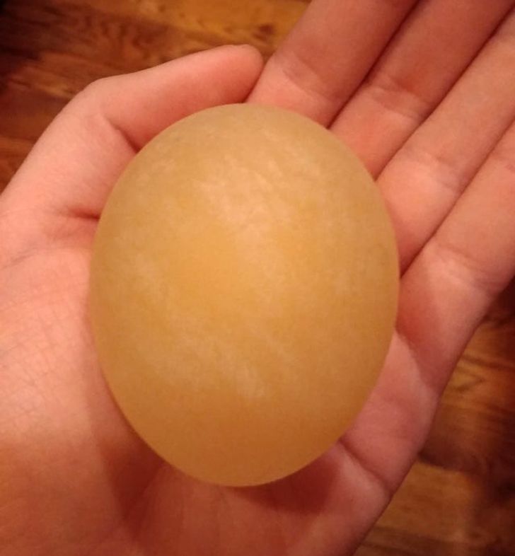 “This is what happens to an uncooked egg when you soak it in vinegar for 24 hours, corn syrup for 24 hours, and then distilled water for 24 hours.”