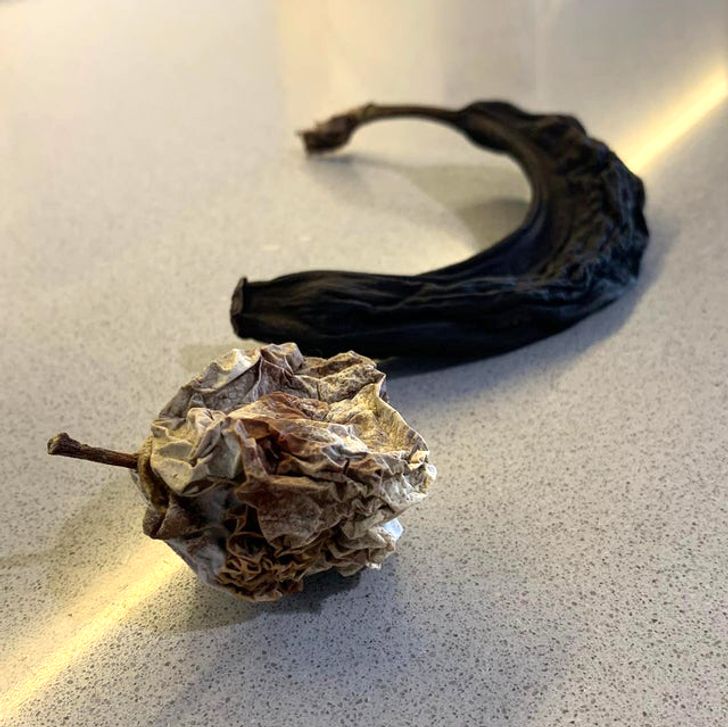 What happens if you leave an apple and a banana for 6 months in an office locker