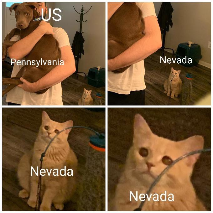 shelter in place meme - Lus Pennsylvania Nevada Nevada Nevada