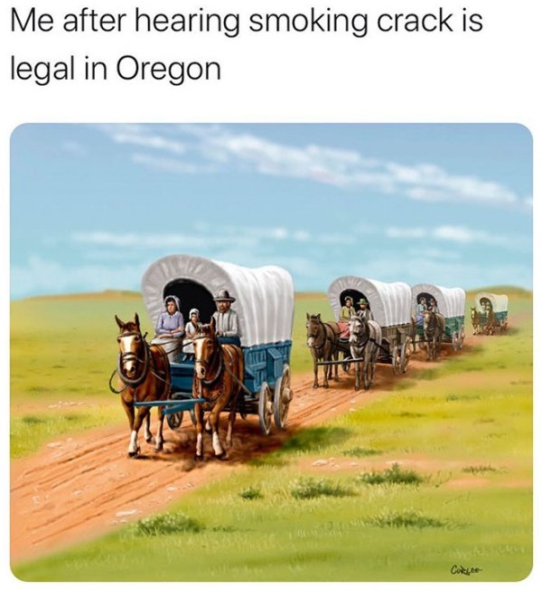 wagons west - Me after hearing smoking crack is legal in Oregon Curste