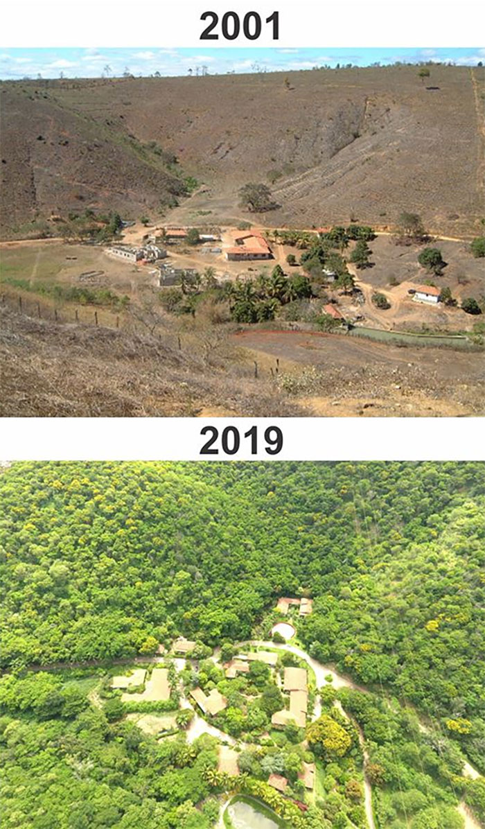 A Couple Decided To Rebuild Their Deserted Piece Of Land Of 600 Hectares In Aimorés, Brazil. They Planted More Than 2 Million Tree Saplings