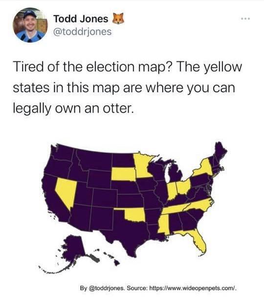 individual us states - Todd Jones Tired of the election map? The yellow states in this map are where you can legally own an otter. By . Source .