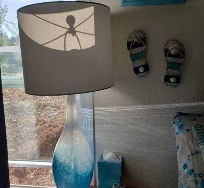 lampshade