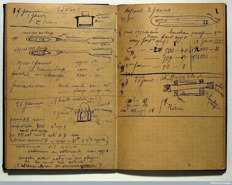 marie curie notebooks