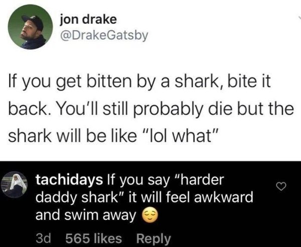 angle - jon drake If you get bitten by a shark, bite it back. You'll still probably die but the shark will be "lol what" tachidays If you say "harder daddy shark" it will feel awkward and swim away 3d 565
