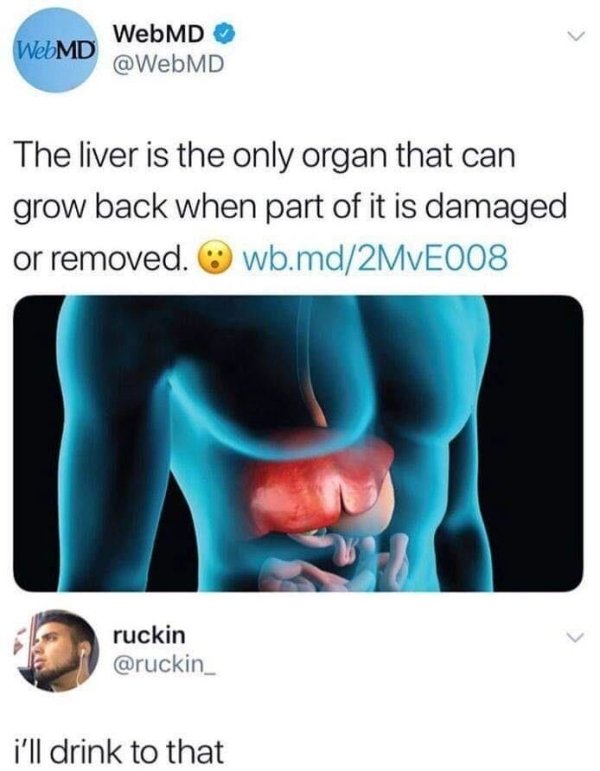 webmd memes - WebMD WebMD The liver is the only organ that can grow back when part of it is damaged or removed. wb.md2MVE008 ruckin i'll drink to that
