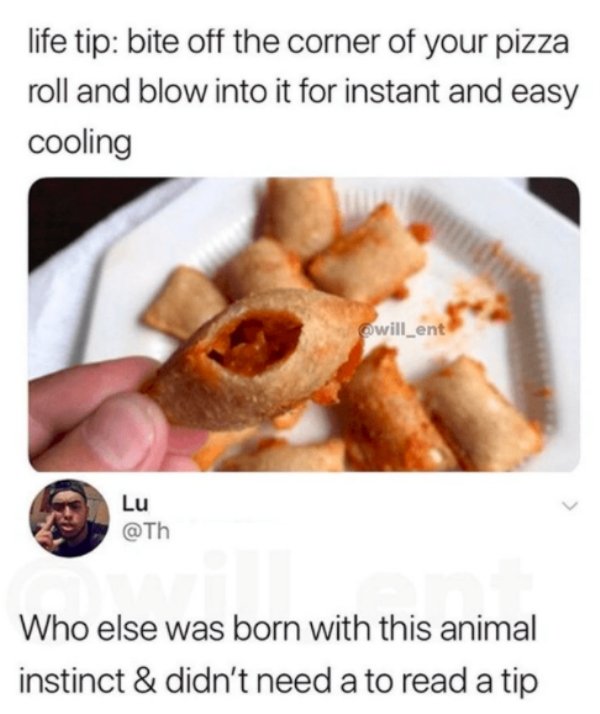 pizza rolls meme - life tip bite off the corner of your pizza roll and blow into it for instant and easy cooling Owill_ent Lu Who else was born with this animal instinct & didn't need a to read a tip