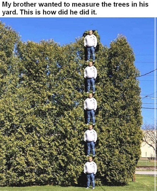 americans will do anything to avoid the metric system - My brother wanted to measure the trees in his yard. This is how did he did it.