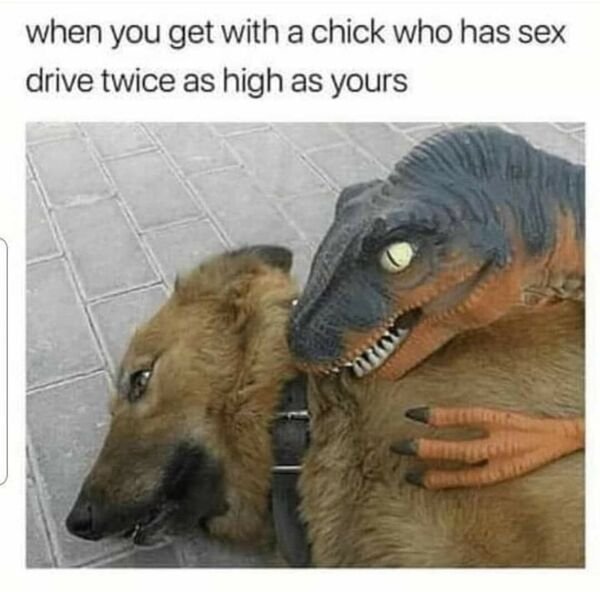 road trip meme funny - when you get with a chick who has sex drive twice as high as yours