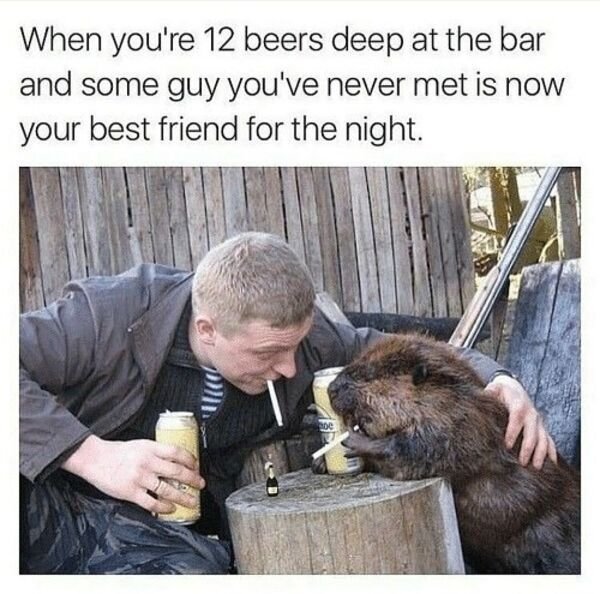 12 beers deep memes - When you're 12 beers deep at the bar and some guy you've never met is now your best friend for the night. De