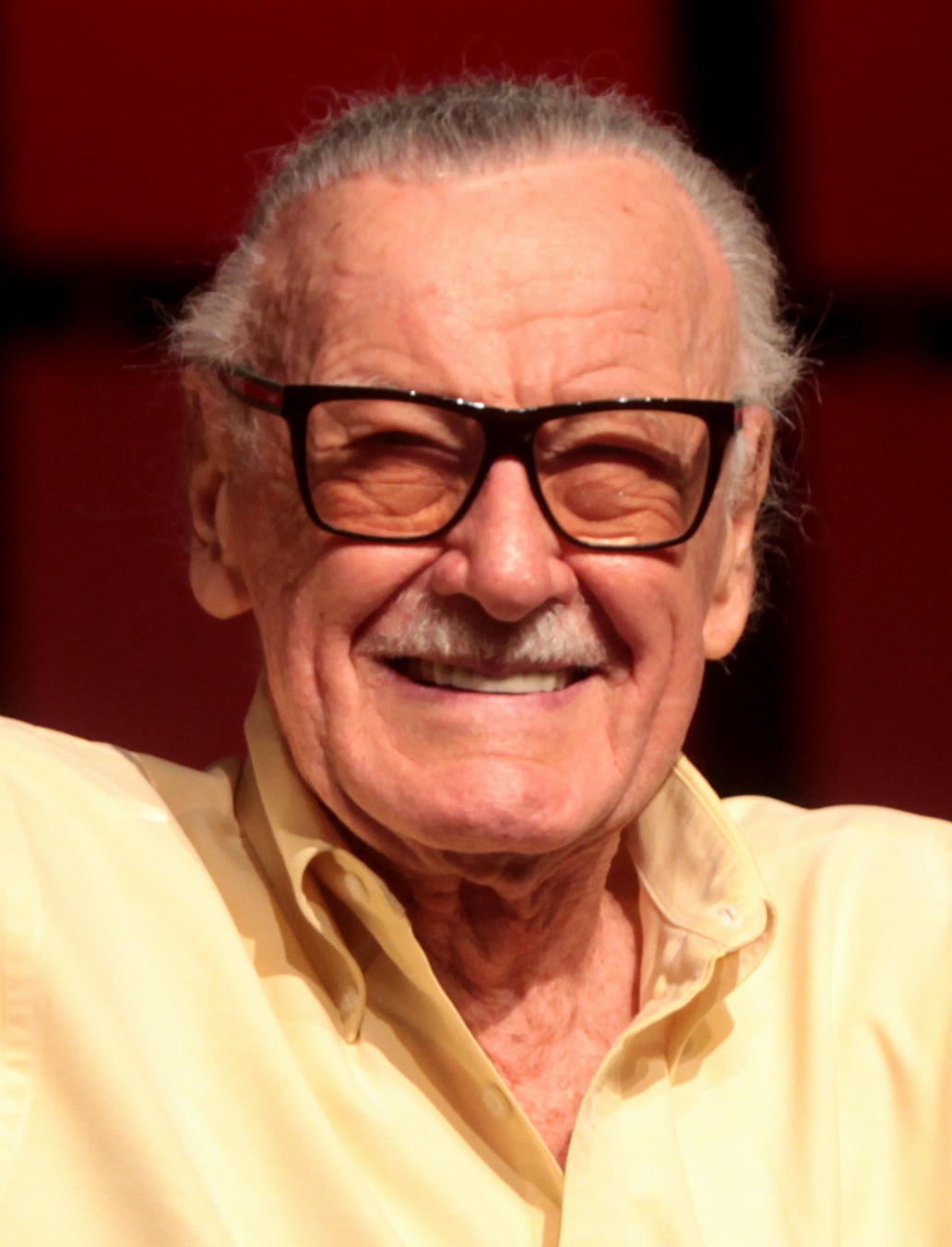 I’ve also met Stan Lee, twice actually (two different comic con years) At the first I got my picture taken with him and were instructed not to touch or talk to him. When I walked in (probably 15 years old at the time) he sweetly smiled and said hi The second time I got that picture autographed and he was kind to both me and my father, so great to meet a legend like him (RIP Stan)