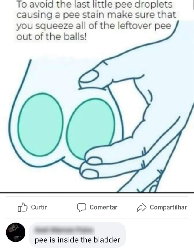 pee is stored in the balls - To avoid the last little pee droplets causing a pee stain make sure that you squeeze all of the leftover pee out of the balls! Curtir Comentar Compartilhar pee is inside the bladder