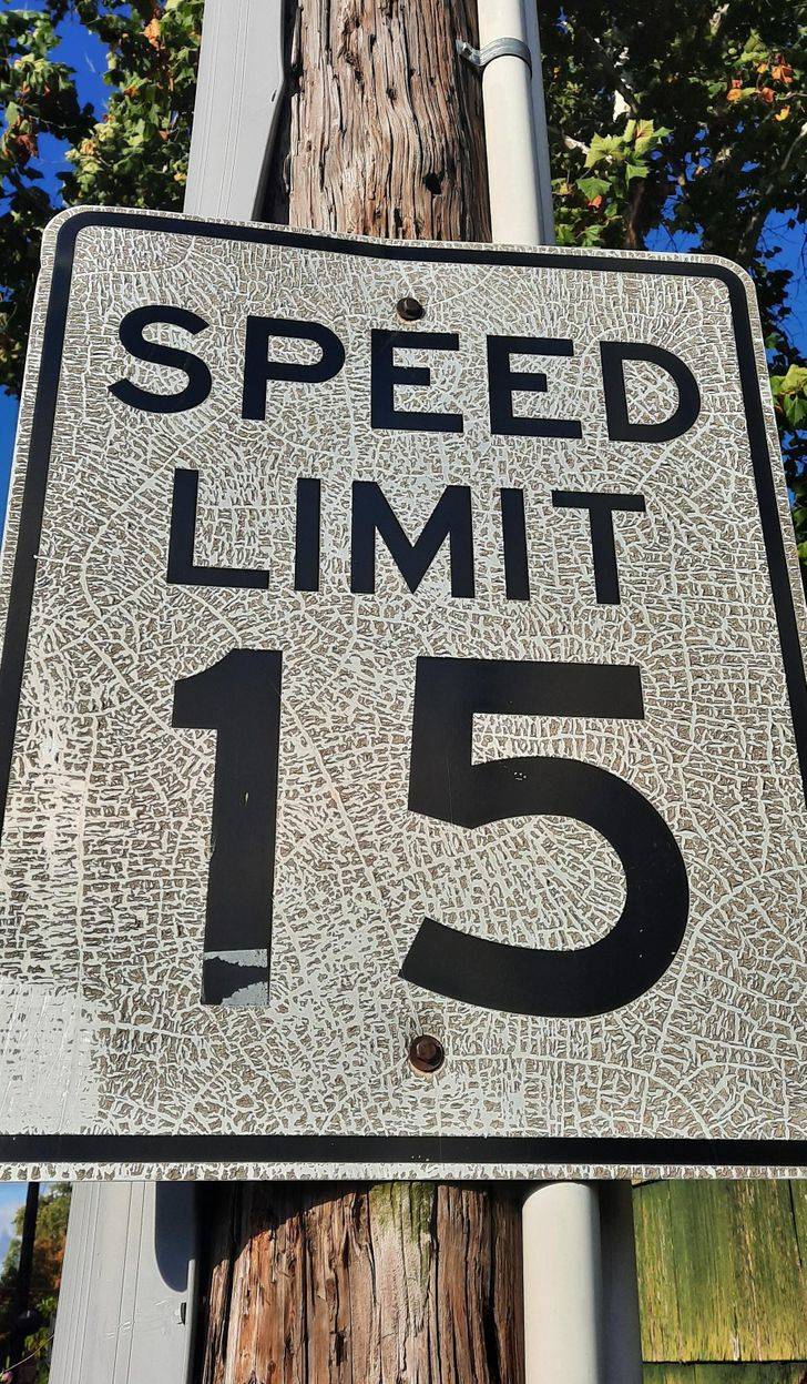 tree - Speed Limit Serw 15 Uwv