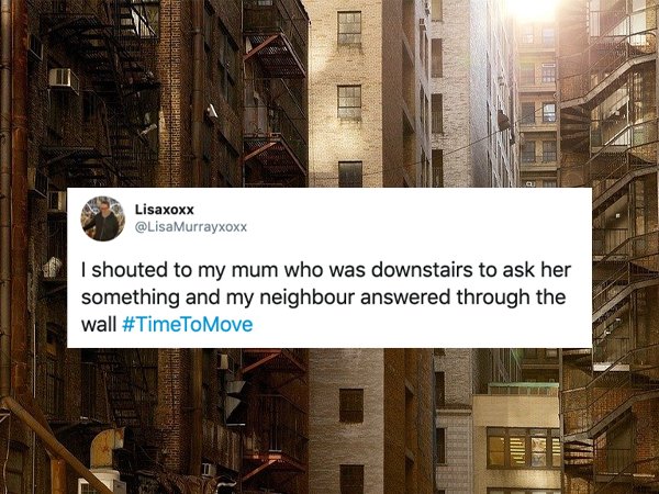 26 Wild Things That Happened Where People Live.