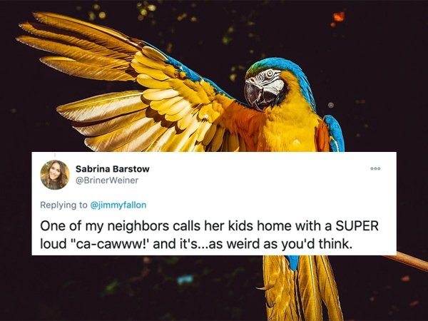 26 Wild Things That Happened Where People Live.