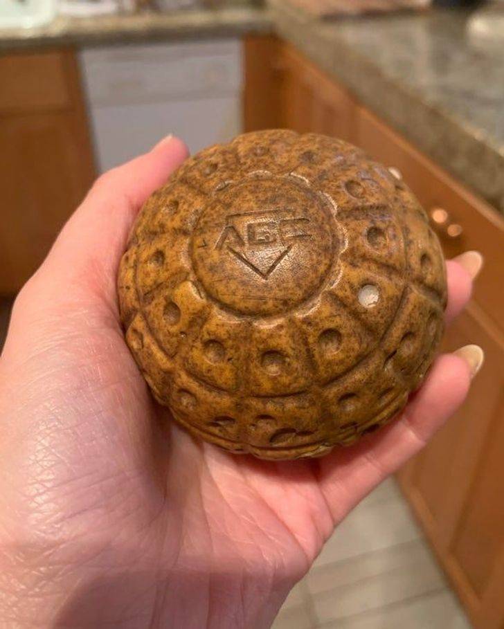 “What is this wooden ball with dice-like imprints?”

A: “It’s not wood. I’m pretty sure that’s a batting cage ball that has sat out for a long time and dried out.”