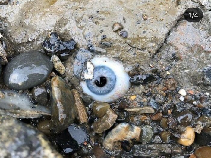 Guy Found A Glass Eye Embedded In The Rock At A Beach