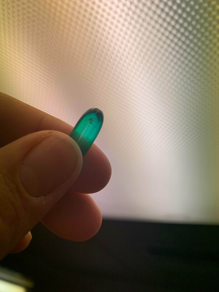 Friend Found A Bug In Their Advil Capsule