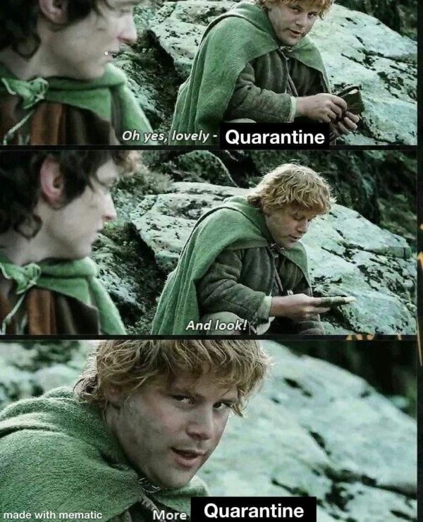 lord of the rings memes - Oh yes, lovely Quarantine And look! made with mematic More Quarantine
