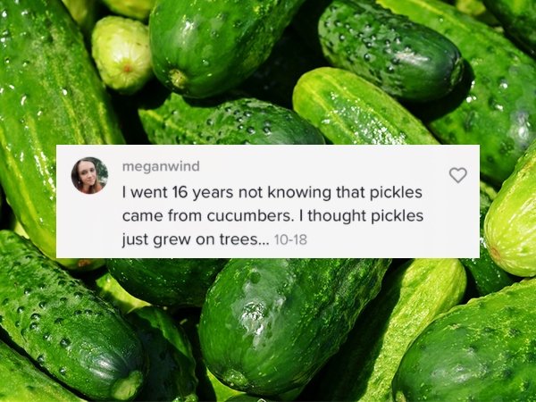 24 Simple Things People Just Learned.