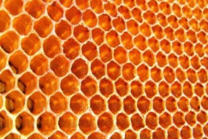 TIL The holes in honeycombs don't actually start out as hexagons. Bees create circular tubes staggered with one another. The heat formed by the activity of the bees softens the wax, which connects the gaps between the holes. Then the wax hardens into the the most energy efficient shape, the hexagon.