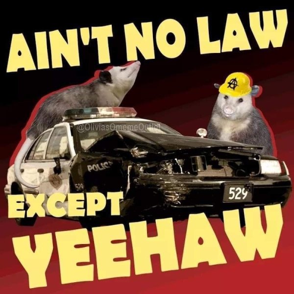 ain t no law but yeehaw - Ain'T No Law memeOne Polics 529 Except Yeehaw