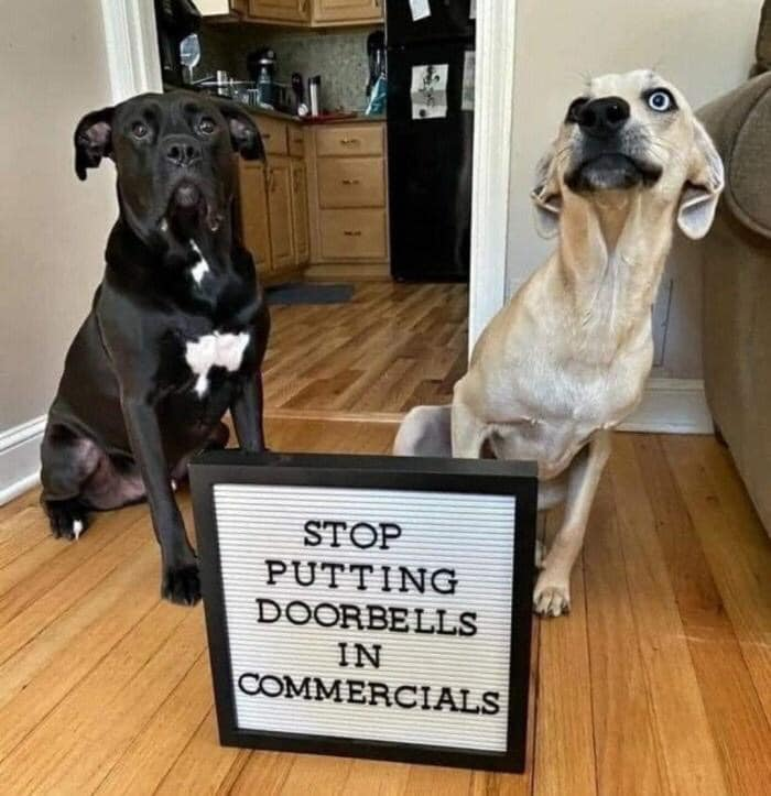 stop putting doorbells in commercials - Stop Putting Doorbells In Commercials