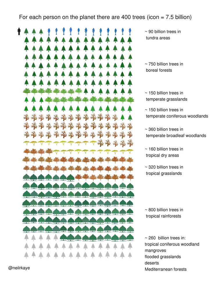 pattern - For each person on the planet there are 400 trees icon 7.5 billion 90 billion trees in tundra areas 750 billion trees in boreal forests 150 billion trees in temperate grasslands 150 billion trees in temperate coniferous woodlands 360 billion tre