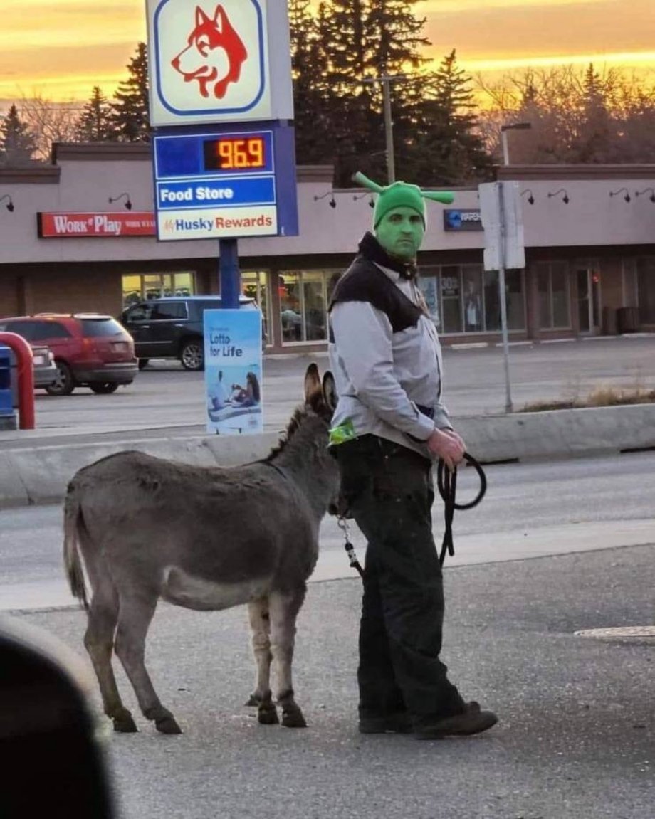 donkey - 959 Food Store Work Play Husky Rewards Co Lotto for Life