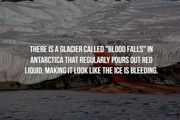 creepy facts - blood falls antarctica - There Is A Glacier Called "Blood Falls" In Antarctica That Regularly Pours Out Red Liquid, Making It Look The Ice Is Bleeding.