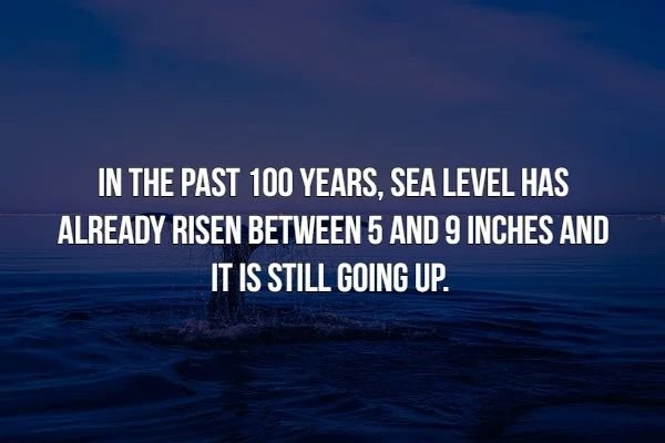 creepy facts - boo squad - In The Past 100 Years, Sea Level Has Already Risen Between 5 And 9 Inches And It Is Still Going Up.