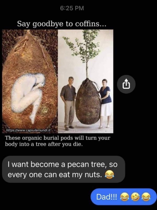 Internet meme - Say goodbye to coffins... These organic burial pods will turn your body into a tree after you die. I want become a pecan tree, so every one can eat my nuts. Dad!!!