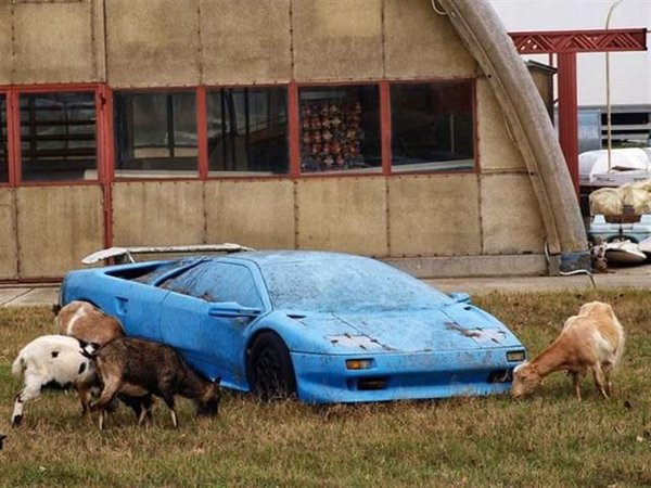 abandoned rare cars