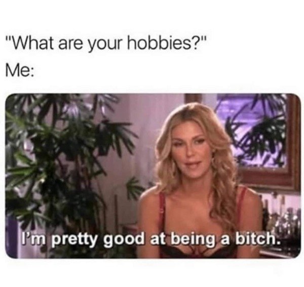 real housewives of beverly hills - "What are your hobbies?" Me I'm pretty good at being a bitch.