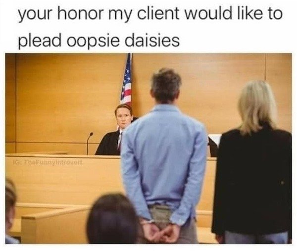 getting bailed out of jail - your honor my client would to plead oopsie daisies