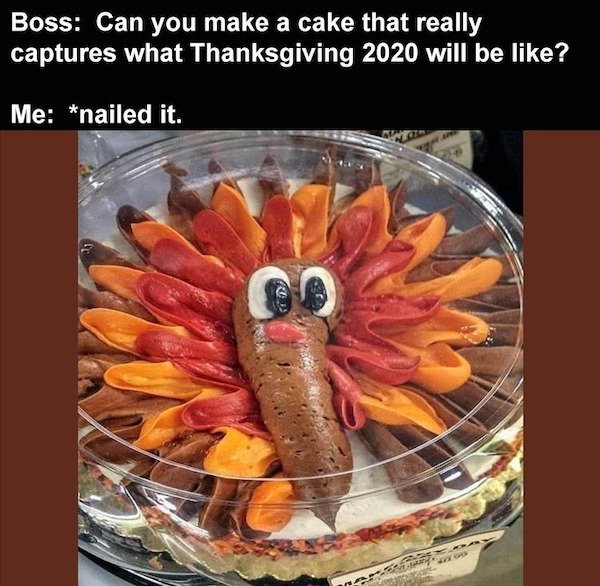 it's a vagina - Boss Can you make a cake that really captures what Thanksgiving 2020 will be ? Me nailed it. in Ps.