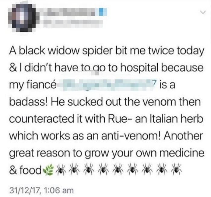 paper - 7 is a A black widow spider bit me twice today & I didn't have to do to hospital because my fianc badass! He sucked out the venom then counteracted it with Rue an Italian herb which works as an antivenom! Another great reason to grow your own medi
