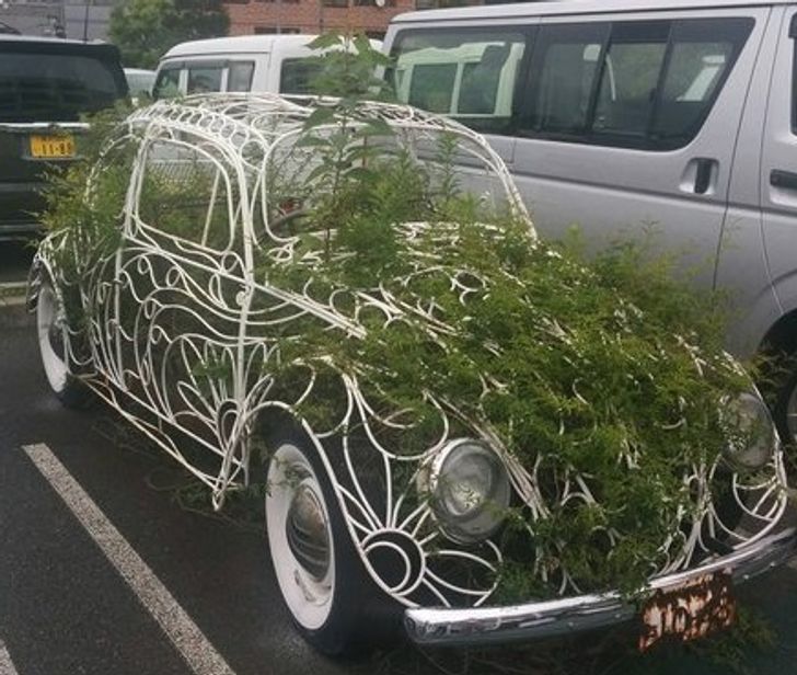 Spotted this car on my way to work. It’s filled with nature.