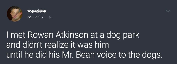 I met Rowan Atkinson at a dog park and didn't realize it was him until he did his Mr. Bean voice to the dogs.