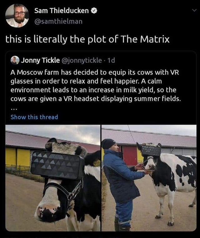 The Matrix - Sam Thielducken this is literally the plot of The Matrix Jonny Tickle 10 A Moscow farm has decided to equip its cows with Vr glasses in order to relax and feel happier. A calm environment leads to an increase in milk yield, so the cows are gi