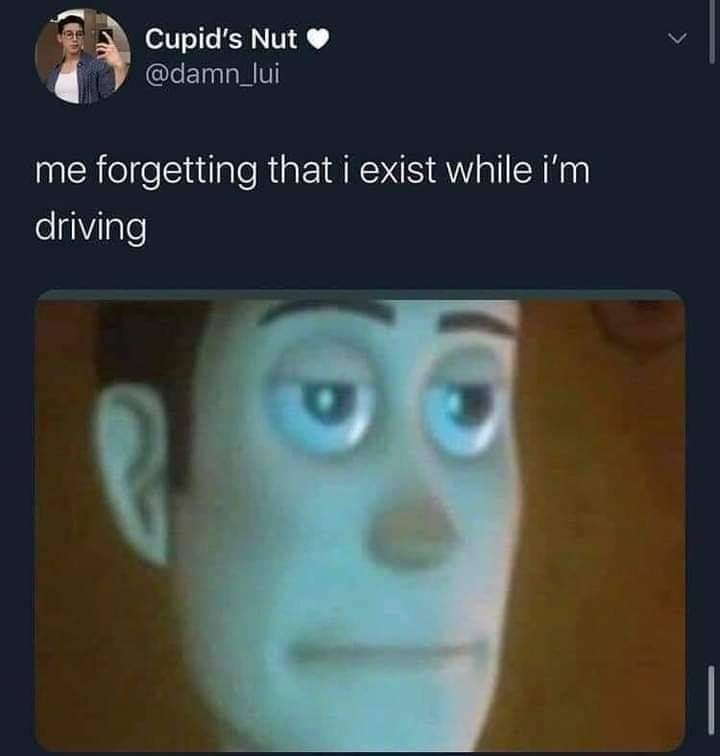 me forgetting i exist while driving - Cupid's Nut me forgetting that i exist while i'm driving