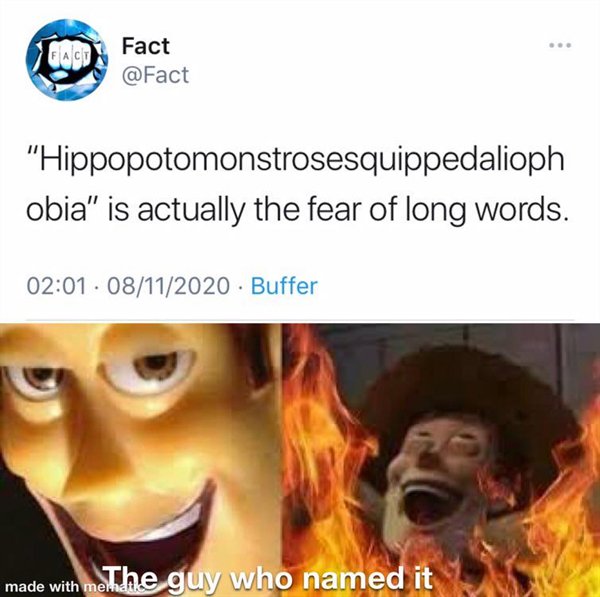 woody meme - Eacv Fact "Hippopotomonstrosesquippedalioph obia" is actually the fear of long words. . 08112020 Buffer made with me The guy who named it