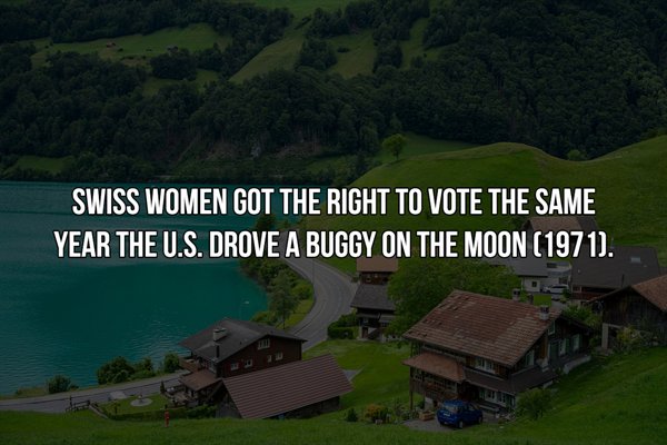 nature - Swiss Women Got The Right To Vote The Same Year The U.S. Drove A Buggy On The Moon 1971.