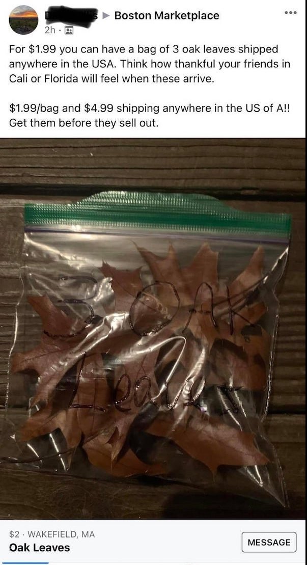 33 WTF Things Being Sold on Craigslist.